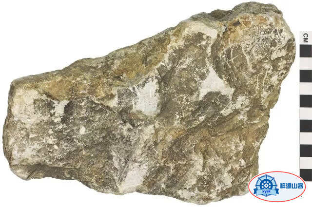 什麼是三大巖石類？